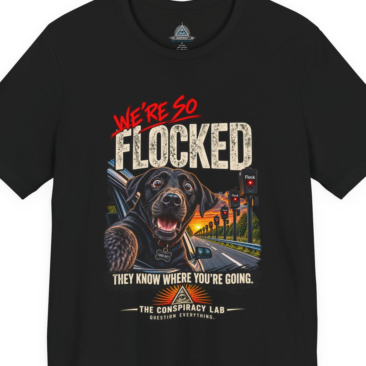 FLOCKED | Flock Camera Surveillance T-Shirt | The Conspiracy Lab
